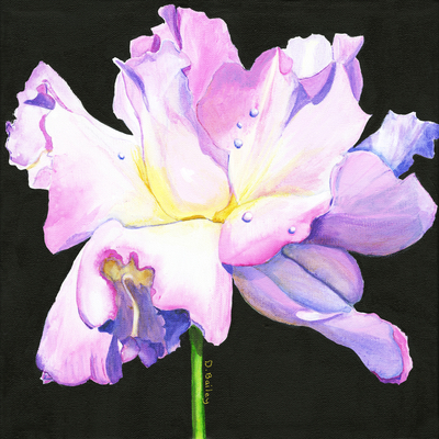 Rose Series II