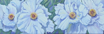 Peonies