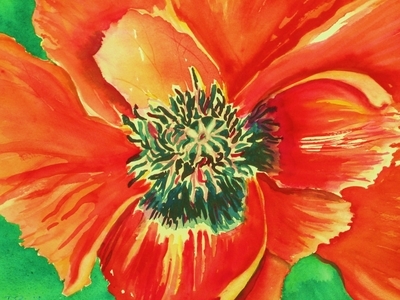Poppy